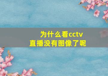 为什么看cctv直播没有图像了呢