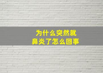 为什么突然就鼻炎了怎么回事