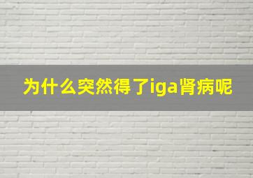 为什么突然得了iga肾病呢