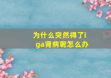 为什么突然得了iga肾病呢怎么办