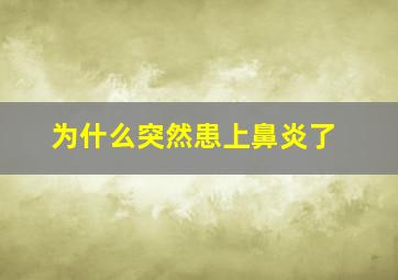 为什么突然患上鼻炎了