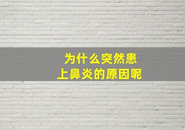 为什么突然患上鼻炎的原因呢