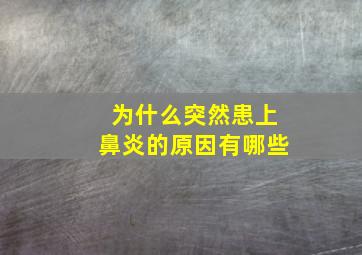 为什么突然患上鼻炎的原因有哪些