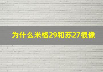 为什么米格29和苏27很像