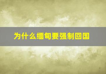 为什么缅甸要强制回国