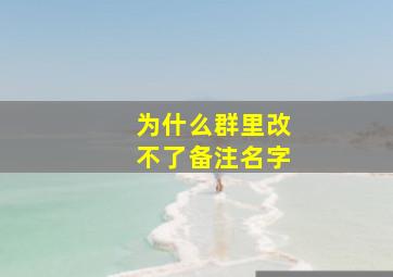 为什么群里改不了备注名字