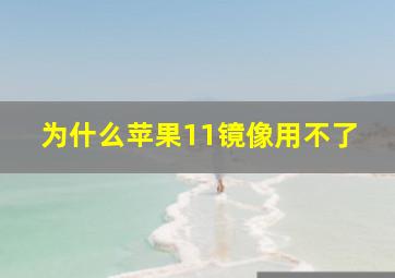 为什么苹果11镜像用不了