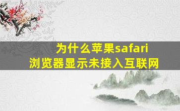 为什么苹果safari浏览器显示未接入互联网