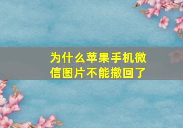 为什么苹果手机微信图片不能撤回了