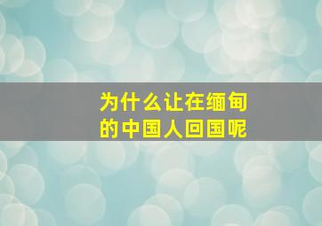 为什么让在缅甸的中国人回国呢