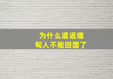 为什么遣返缅甸人不能回国了