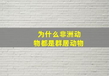 为什么非洲动物都是群居动物