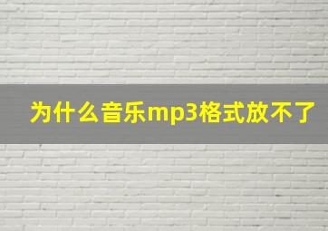 为什么音乐mp3格式放不了