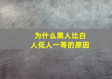 为什么黑人比白人低人一等的原因