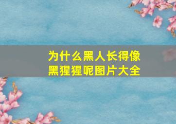 为什么黑人长得像黑猩猩呢图片大全