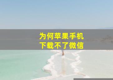 为何苹果手机下载不了微信