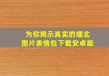 为你揭示真实的缅北图片表情包下载安卓版