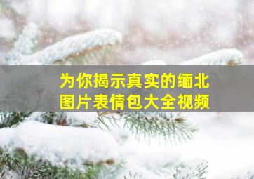 为你揭示真实的缅北图片表情包大全视频