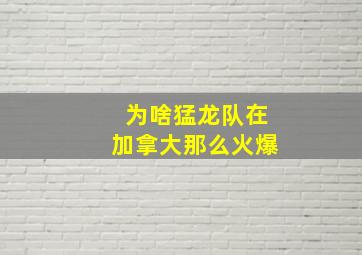 为啥猛龙队在加拿大那么火爆