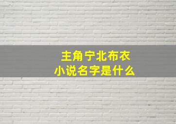 主角宁北布衣小说名字是什么