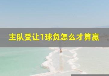 主队受让1球负怎么才算赢