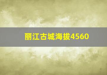 丽江古城海拔4560