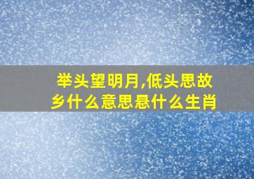 举头望明月,低头思故乡什么意思悬什么生肖