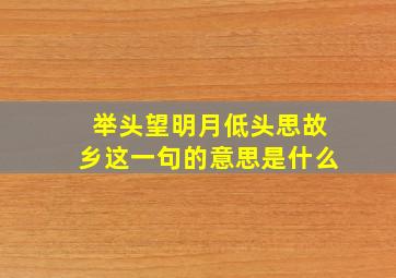 举头望明月低头思故乡这一句的意思是什么