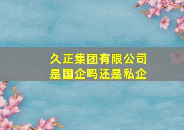 久正集团有限公司是国企吗还是私企