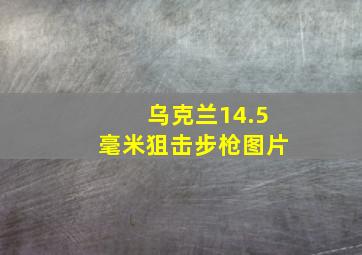 乌克兰14.5毫米狙击步枪图片