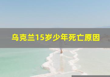 乌克兰15岁少年死亡原因