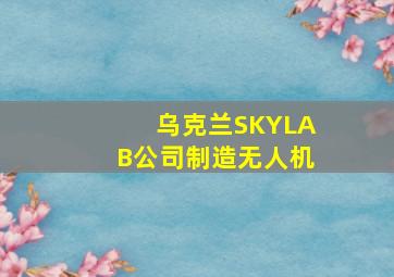 乌克兰SKYLAB公司制造无人机