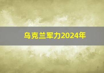 乌克兰军力2024年