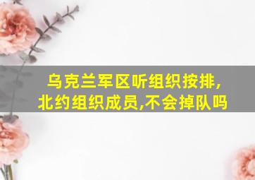 乌克兰军区听组织按排,北约组织成员,不会掉队吗