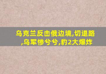 乌克兰反击俄边境,切退路,乌军惨兮兮,豹2大爆炸