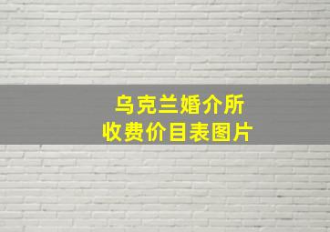 乌克兰婚介所收费价目表图片