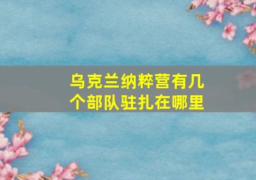 乌克兰纳粹营有几个部队驻扎在哪里