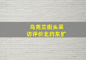 乌克兰街头采访评价北约东扩