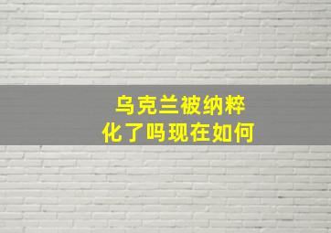 乌克兰被纳粹化了吗现在如何