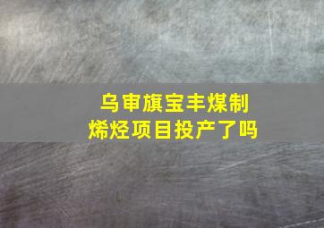 乌审旗宝丰煤制烯烃项目投产了吗