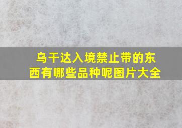 乌干达入境禁止带的东西有哪些品种呢图片大全