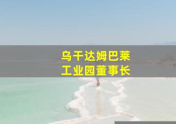 乌干达姆巴莱工业园董事长