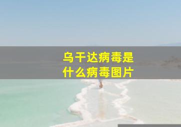 乌干达病毒是什么病毒图片