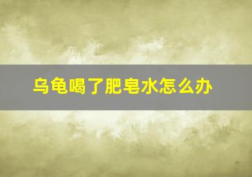 乌龟喝了肥皂水怎么办