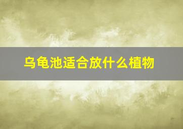 乌龟池适合放什么植物