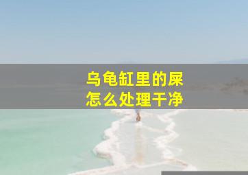 乌龟缸里的屎怎么处理干净