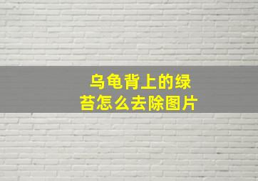 乌龟背上的绿苔怎么去除图片