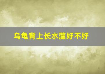 乌龟背上长水藻好不好