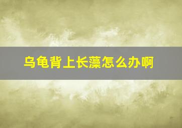 乌龟背上长藻怎么办啊