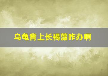 乌龟背上长褐藻咋办啊